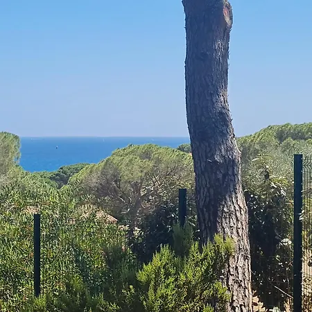 Familiale Avec Piscine Privee, Proche Plage, Parking Et Wifi A - Fr-1-780-12 Sainte-Maxime